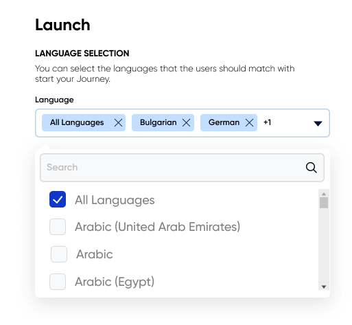 The screenshot that shows automated multi-language cross-channel campaign