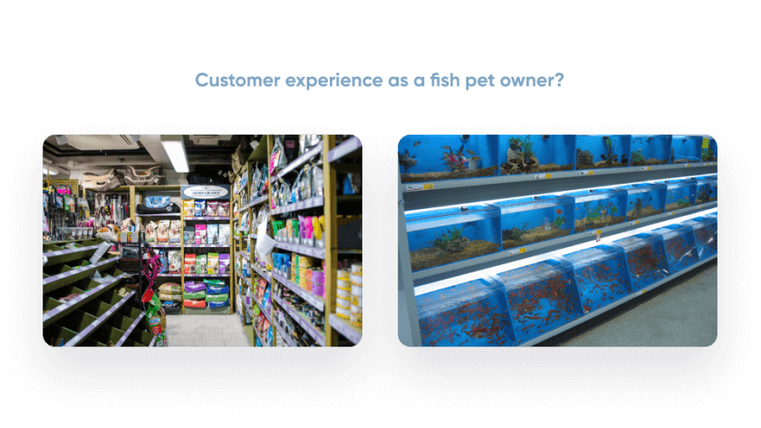 Side-by-side physical pet store experiences showing segmentation and the value of personalization