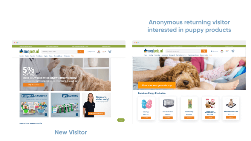 Pet store personalization for a new visitor vs. an anonymous returning visitor interested in puppy products
