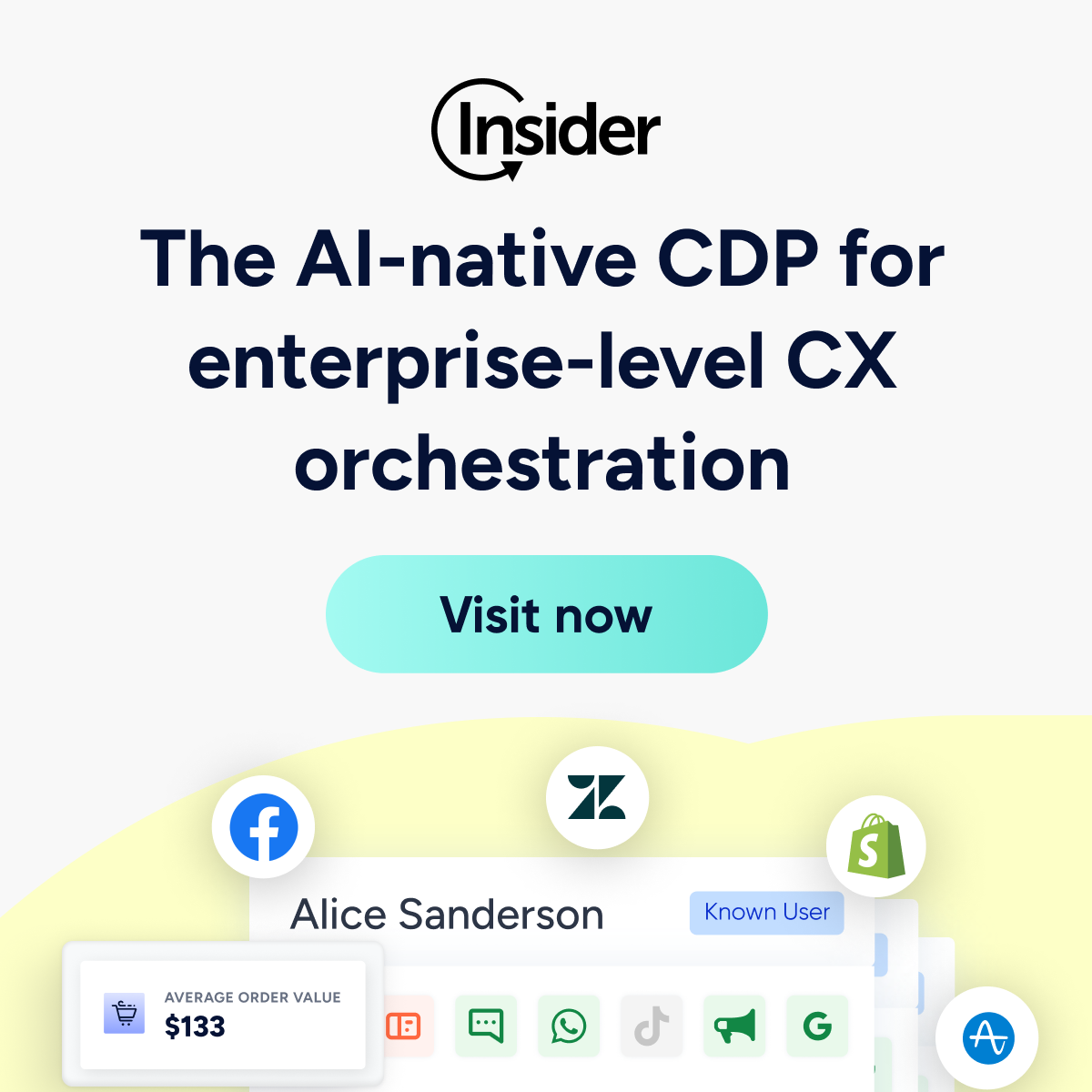 Customer Data Platform con IA para Marketers | Insider One