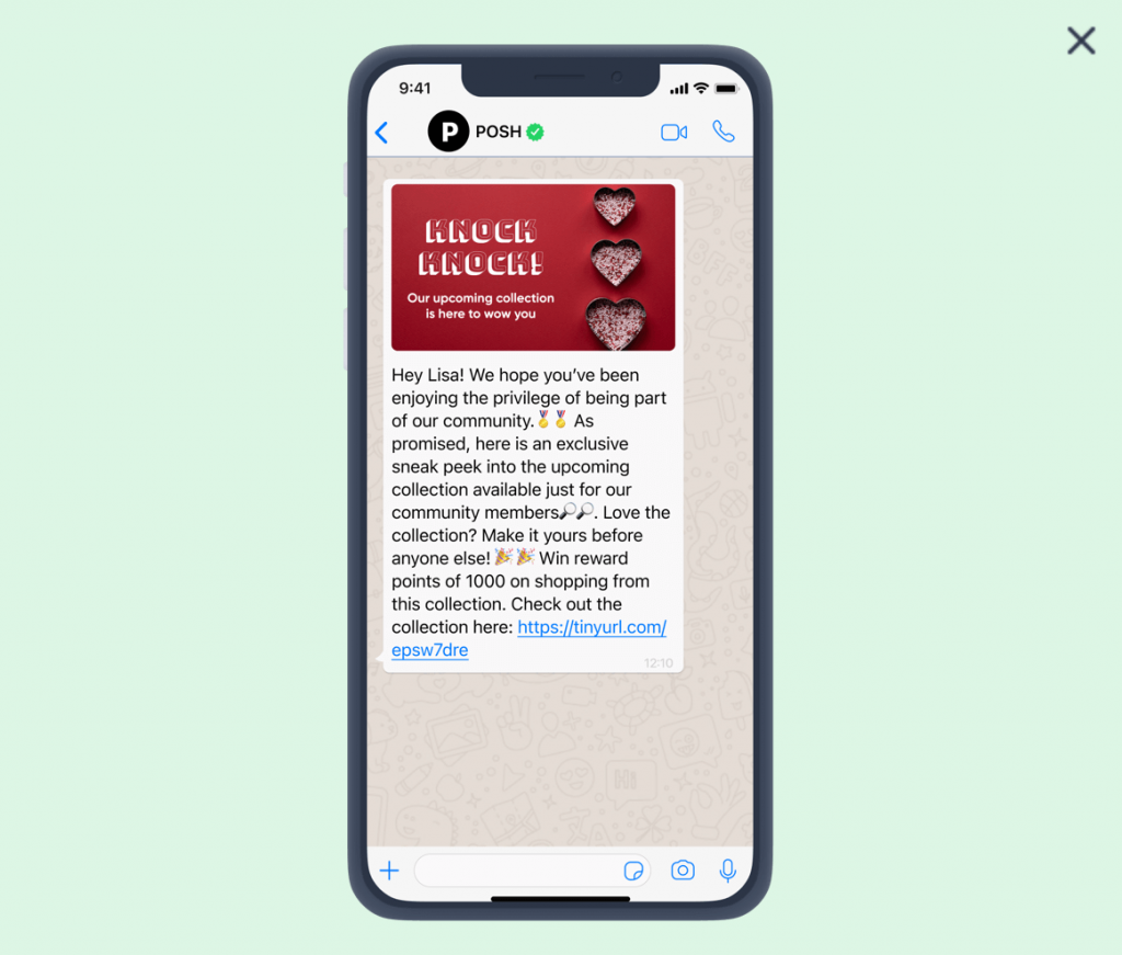 segment VIP customers and tell them about upcoming products first in WhatsApp