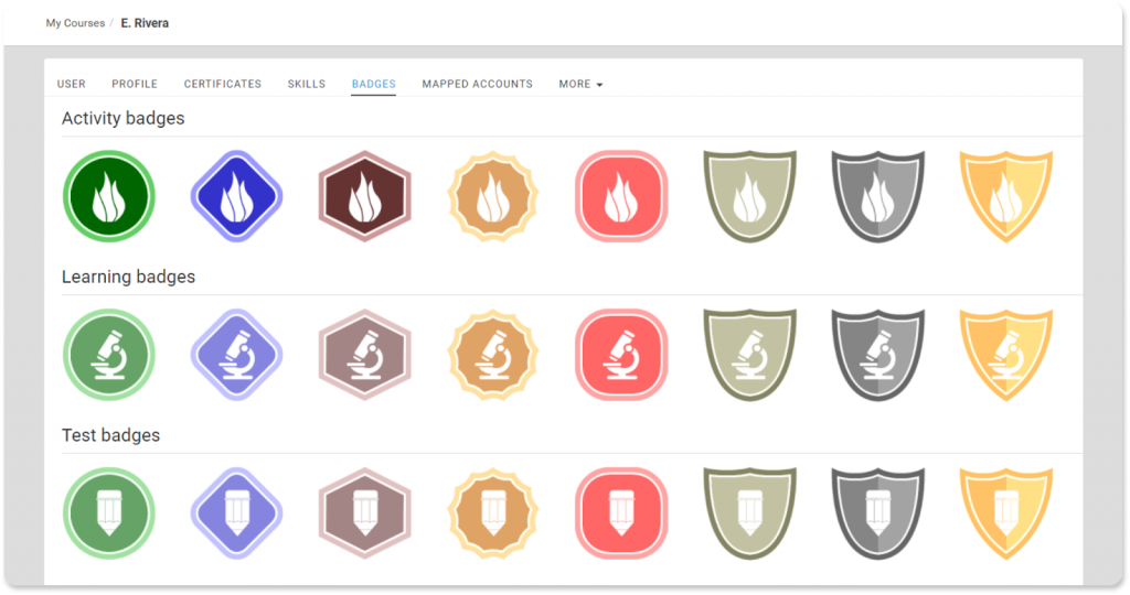  Illustrating different badge types used to reward skills, actions, and challenges